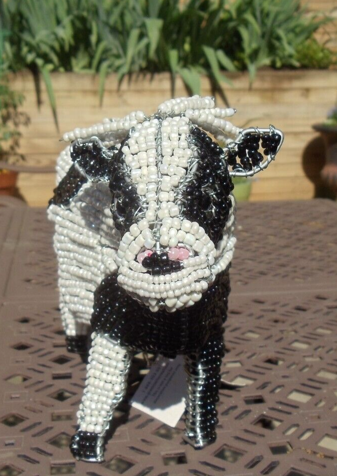 Beaded land: Holstein cow