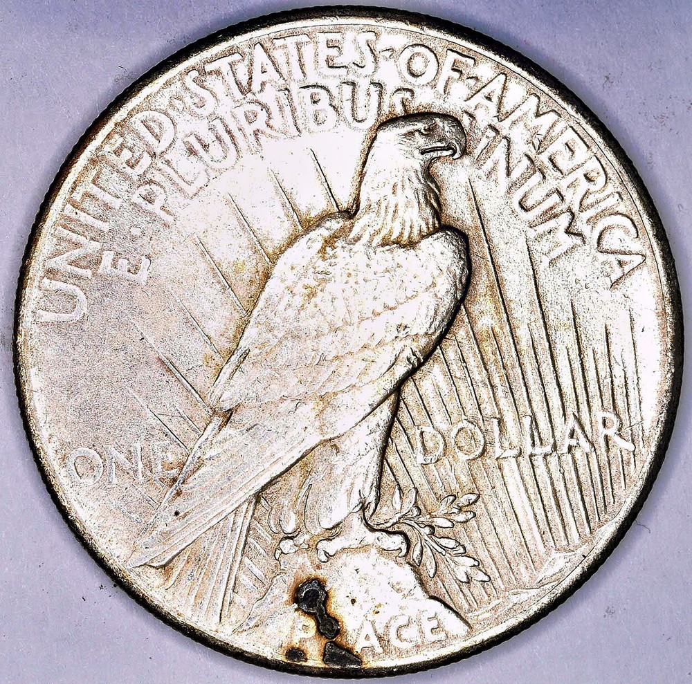 Liberty Silver Dollar 1925 Peace