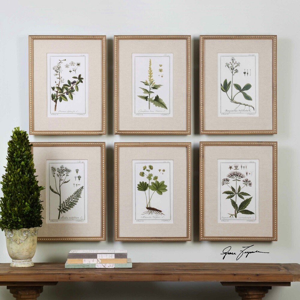 Botanical Study Leaf Berry Flower Wall Art Gold Frame Set Of 6 ~ Uttermost 33651