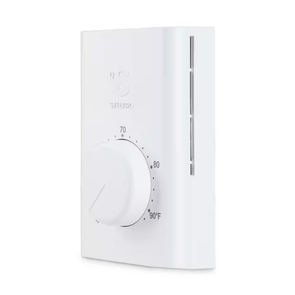 Double-Pole 22 Amp Line Voltage 120/240-Volt Mechanical Wall-Mount Non Programma