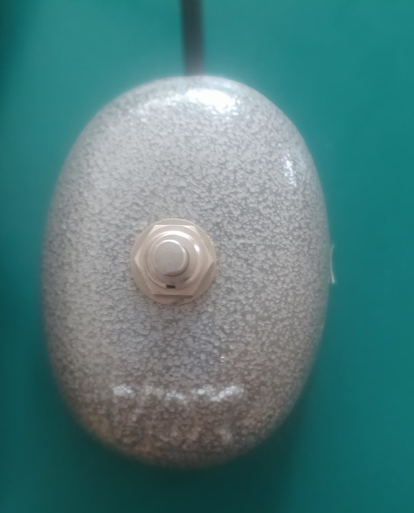 VOX Foot Switch. Push button switch.