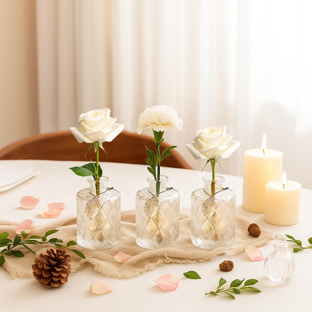Glass Reed Diffusers Bottles for Home, Diffuser Bottles with 20PCS Reed Diffu...
