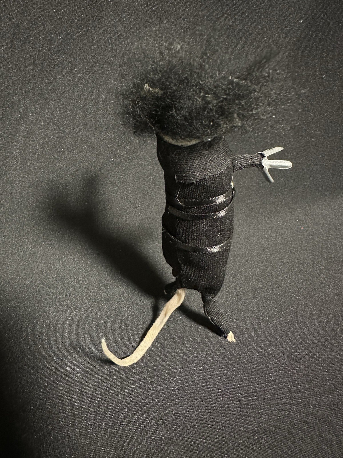 Taxidermy Mouse Edward Scissorhands Mouse Oddities Curiosities Taxidermy Art