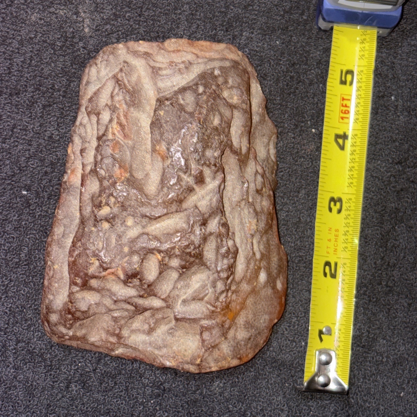 Huge Piece Of Baltic Amber. 5+ Inches Long 3+ Inches Wide Has Not Been Peered In