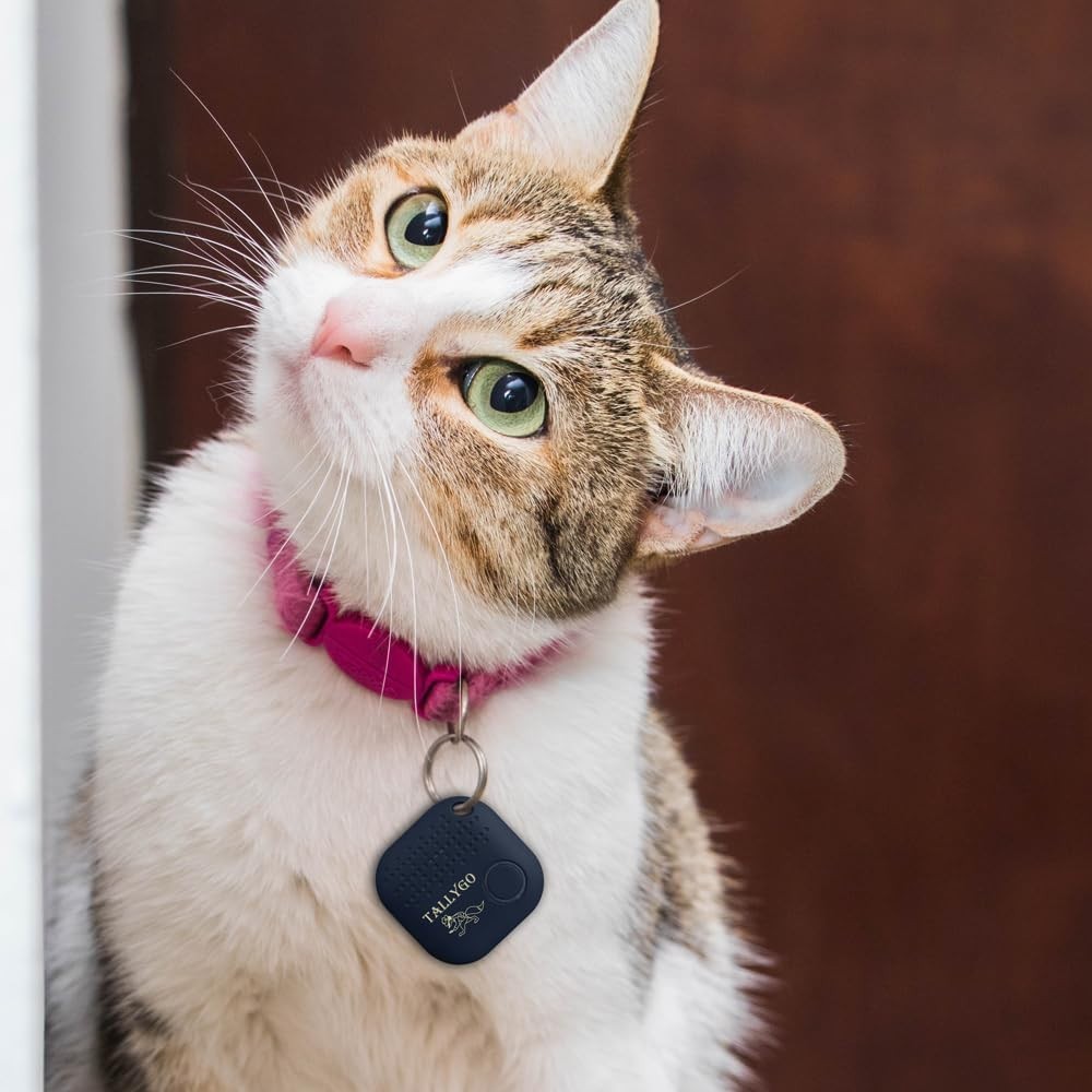 iOS & Android Compatible Bluetooth Tracker - Two-Way Separation Alerts Included