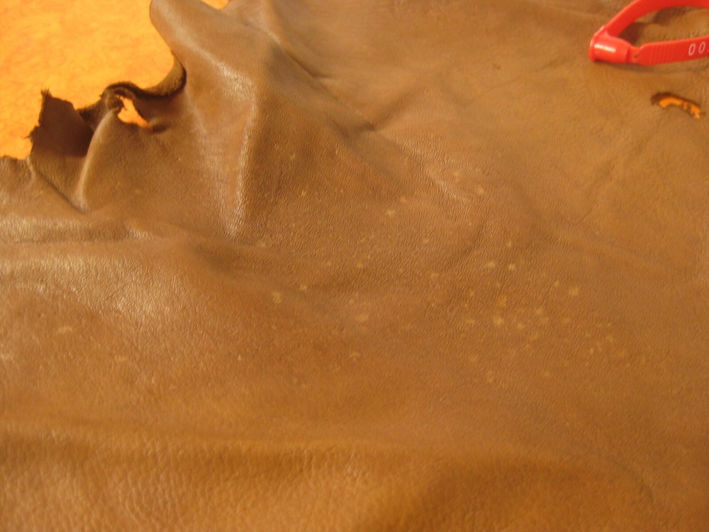 Top Grain Deer Leather #0018095 Row V