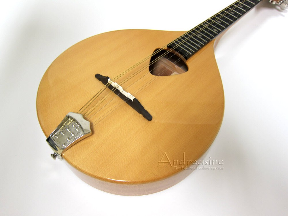GOLD TONE 8-STRING SOLID SPRUCE MANDOLA w/ BAG ~ VIOLA MANDOLIN LUTE