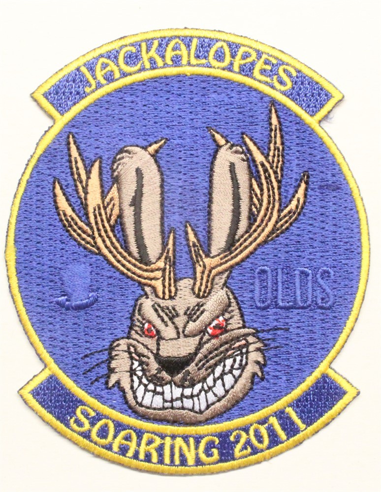 USAF Air Force Patch:  94th Flying Training Squadron 2011 Soaring Team