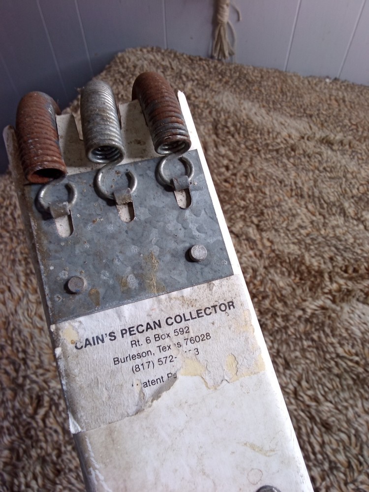 Vintage Cain's Pecan Collector 47"