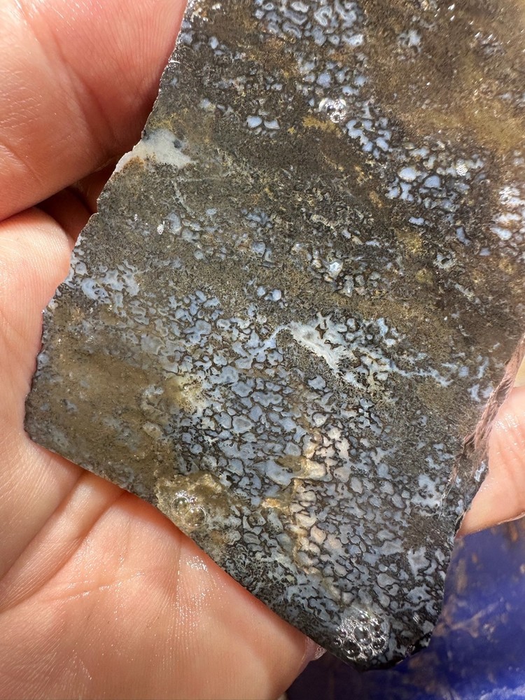 Dinosaur bone rough slab.