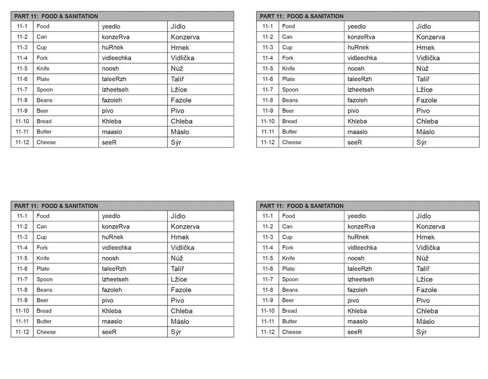 Defense Language Institute DLI BASIC CZECH Text & 600+ MP3 Audio CD