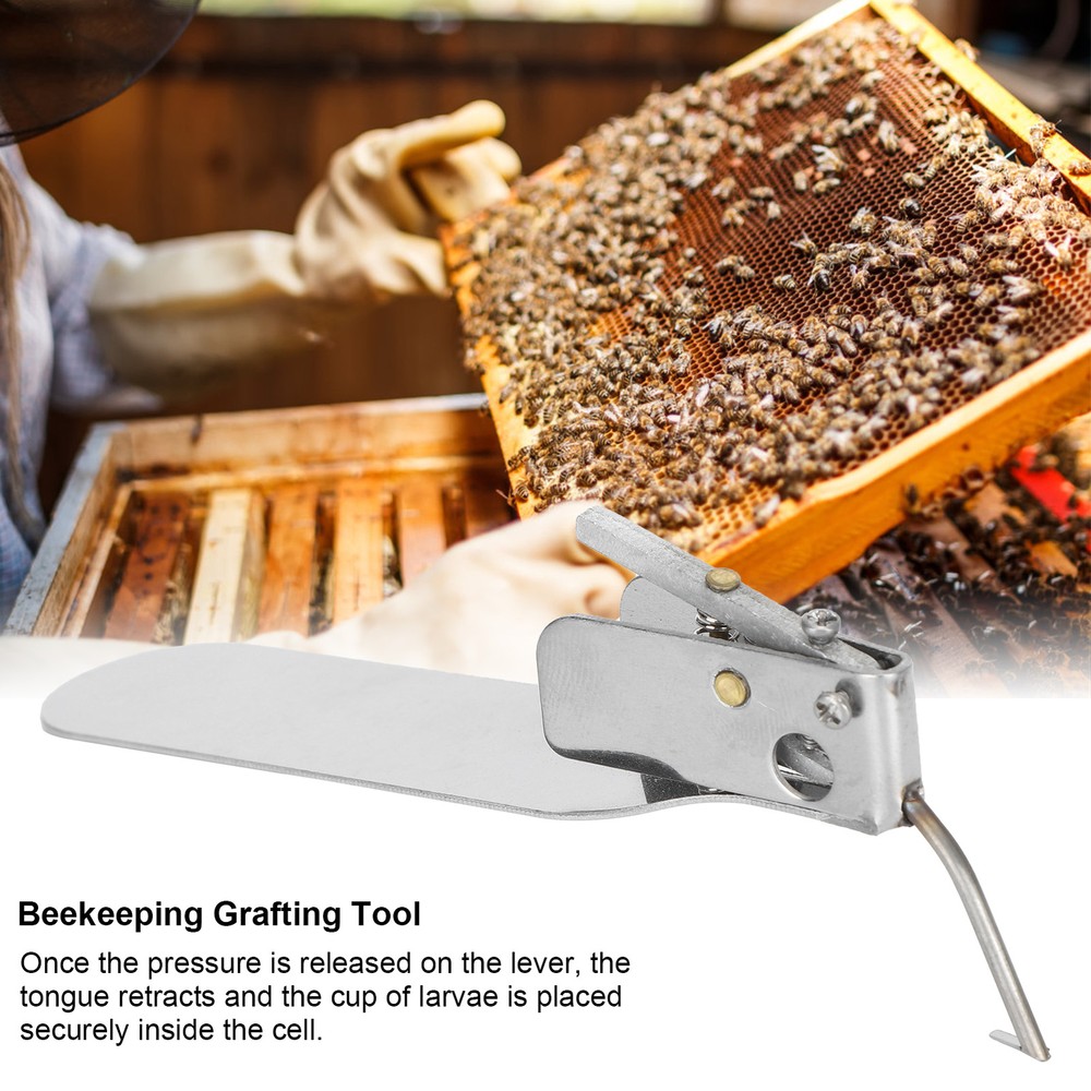 Beekeeping Grafting Tool Single‑End Queen Bee Larva Grafting Needle AC