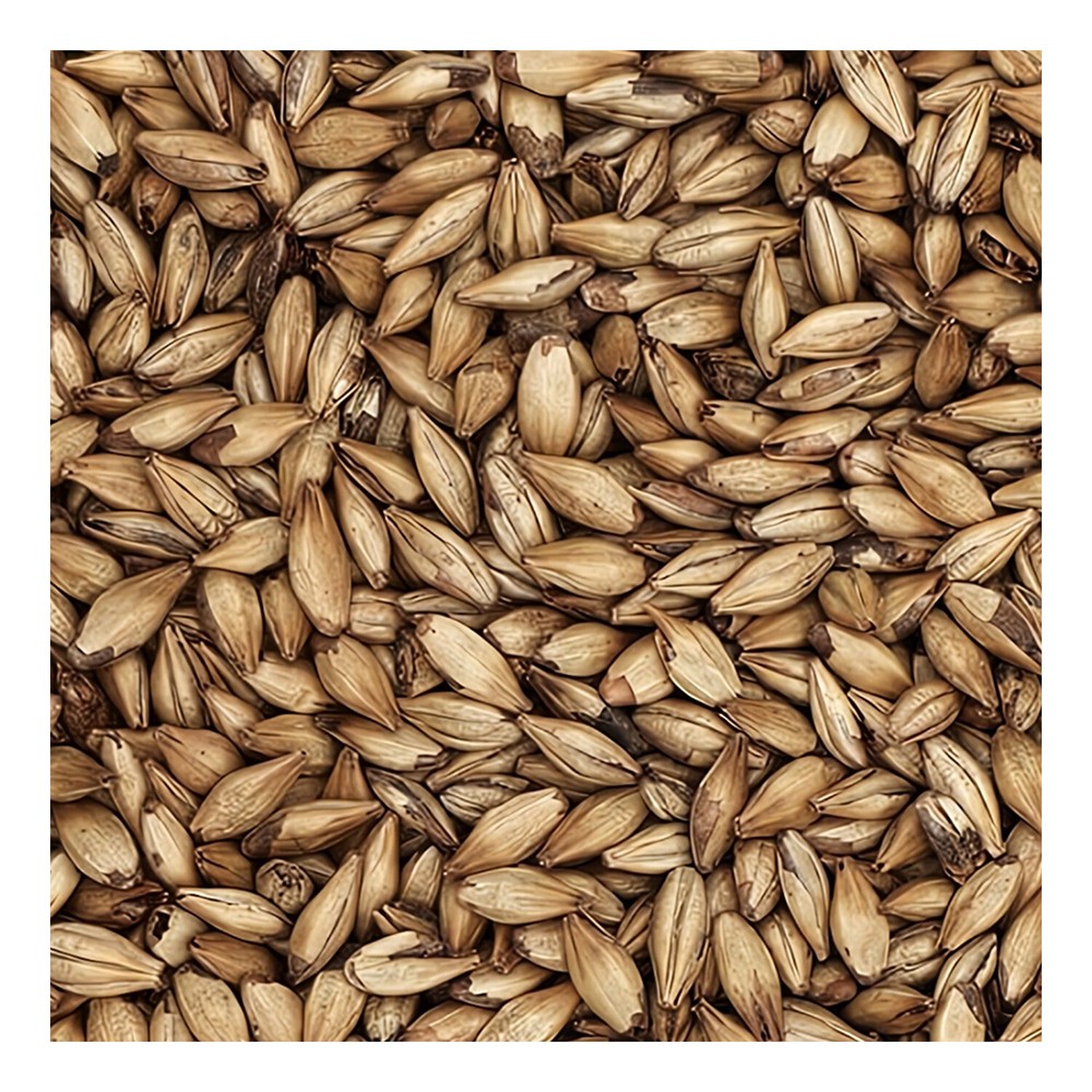 Home Brew Ohio Belge Grain 1lb