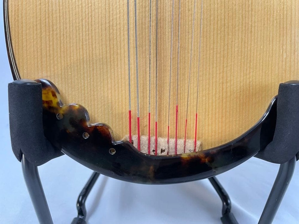 Watanabe/Watanabe High-end order mandolin