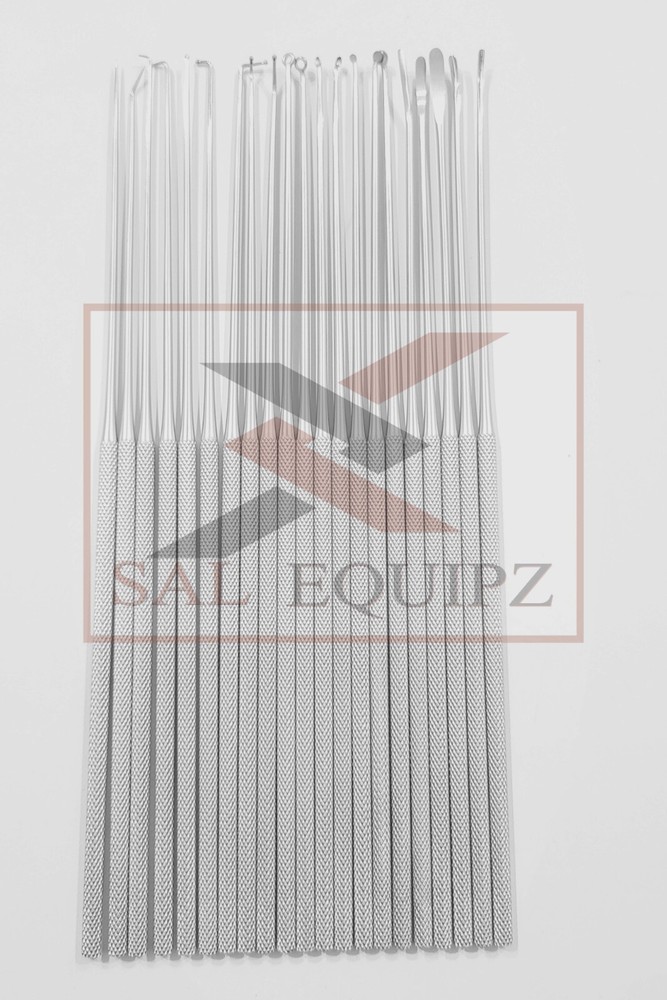 Rhoton micro dissector expanded 19 pcs set Neurosurgery Instruments