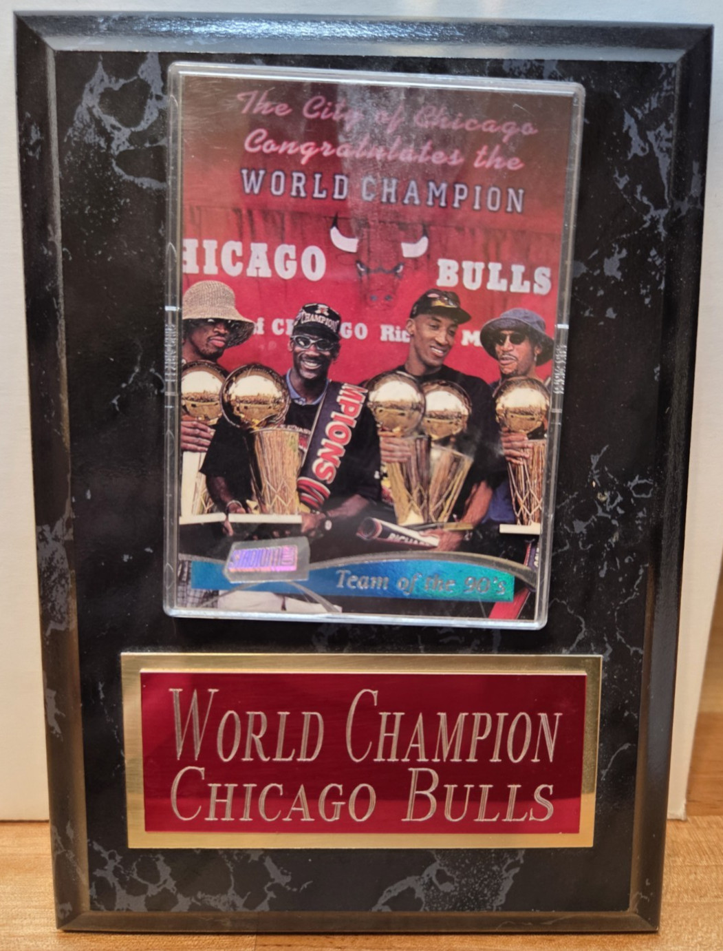 Michael Jordan World Champion Chicago Bulls Card Plaque Rodman Pippen Harper