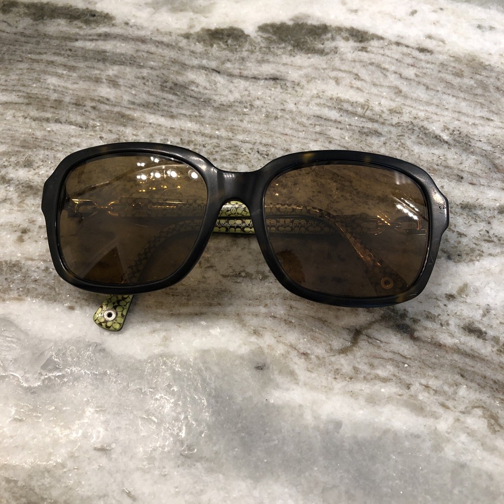 COACH Ashley 8104 Lenses Gradient Brown Sunglasses