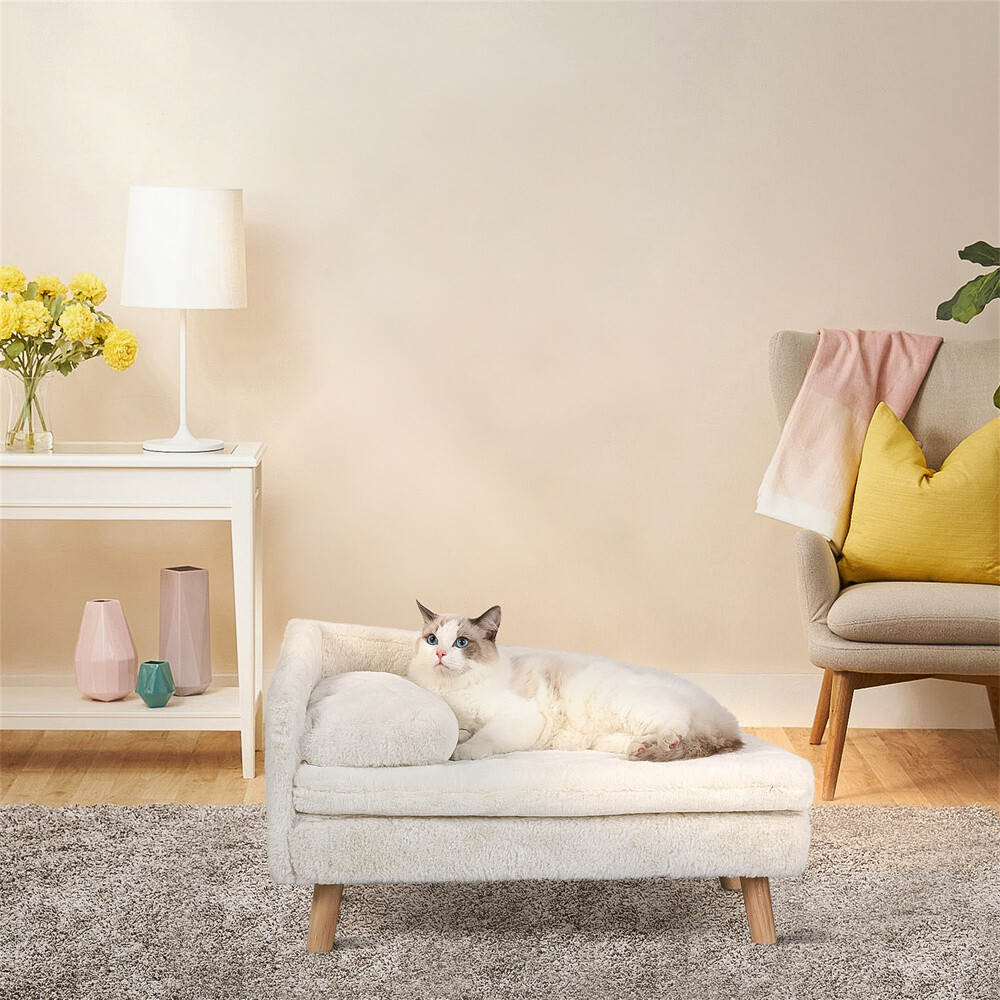 Modern Pet Sofa Low Back Lounging Bed With Removable Cushion Pillow For Dog Cat