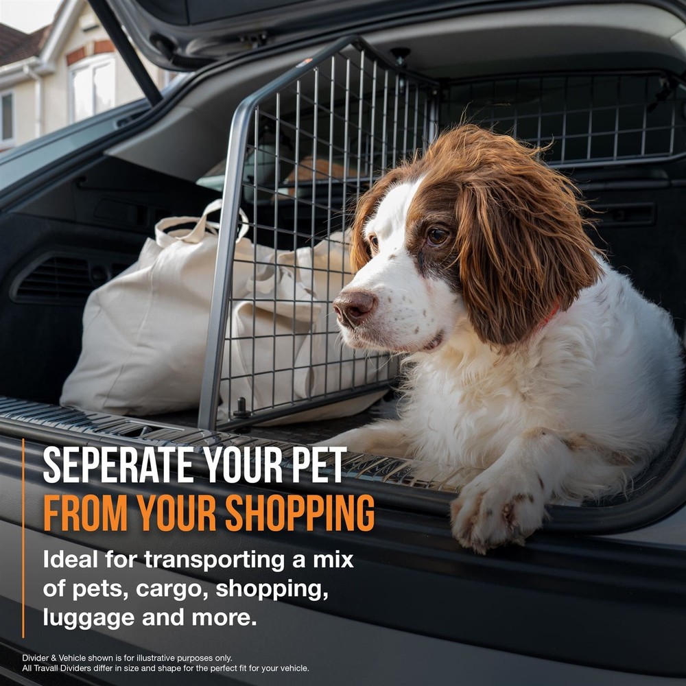 Travall Dog Guard & Divider Bundle Jeep Compass SUV (2020-)