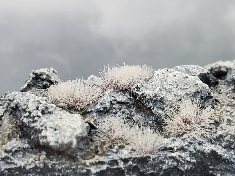 Self Adhesive Static Grass Tufts -Wargaming Terrain -Wasteland Ash Grey- 4mm