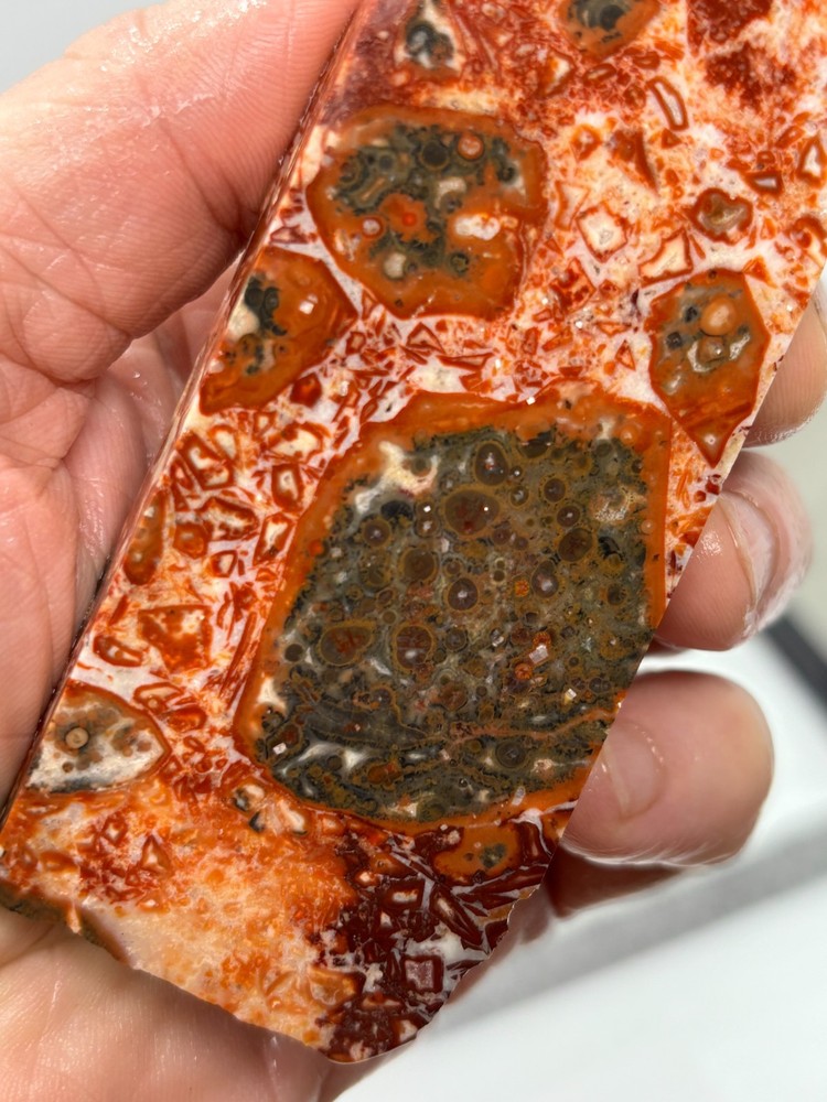 Orbicular Leopard Skin Jasper Slab Lapidary Cabbing Combo Ship Avail