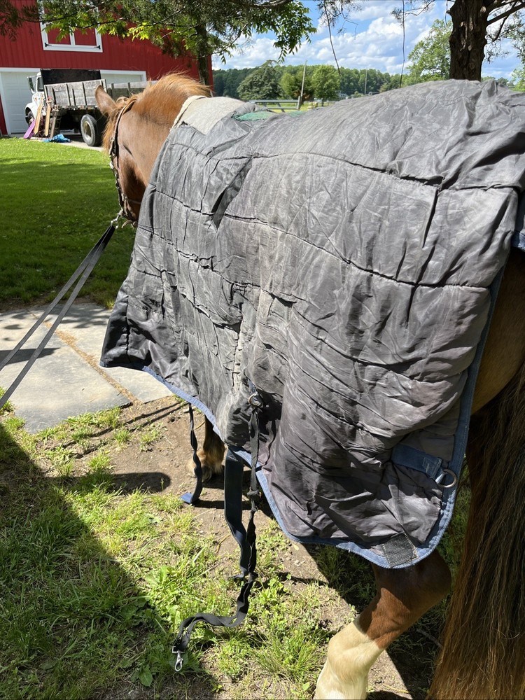 Schneiders Medium Weight 72” Blanket