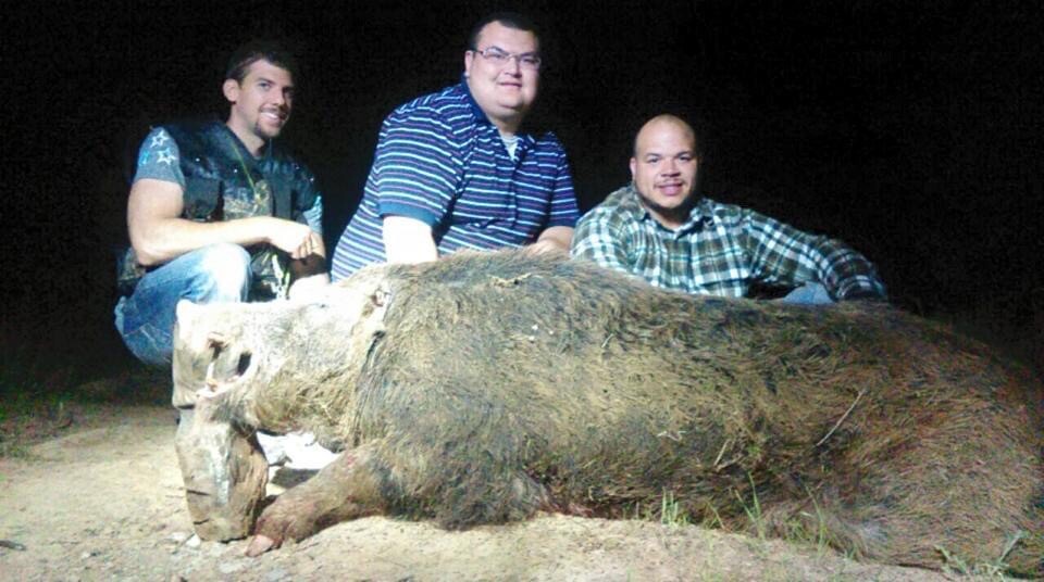 Semi Guided Wild Hog Hunts In Oklahoma