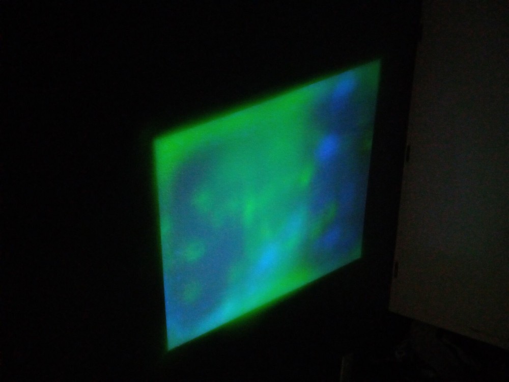 Proxima Ultralight LX2 Projector May 2000 Tested with CABLES NO REMOTE