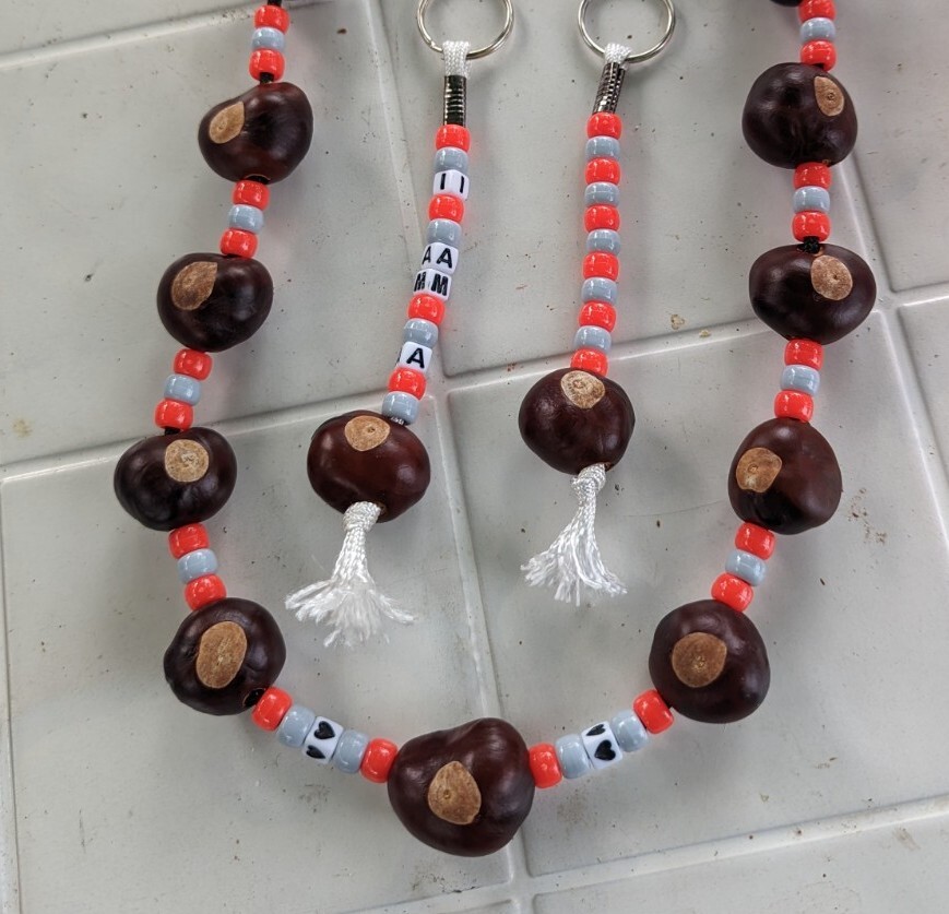 Ohio State Buckeye necklace