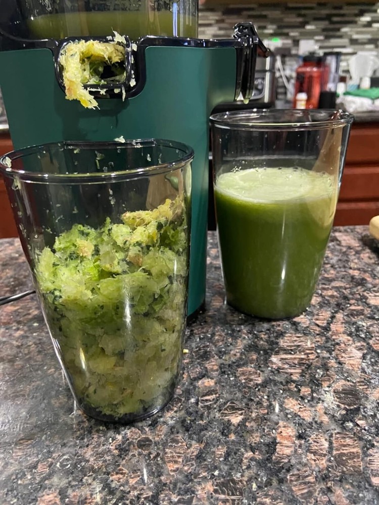 Slow Juicer Machine Masticating Cold Press Juicers Squeezer Vegetable Processor