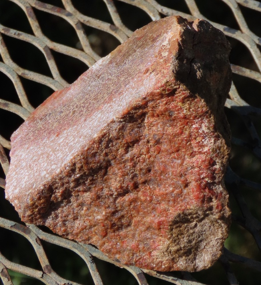 Fossil Dinosaur Gem Bone Specimen -DS78-Jurassic/Morrison Formation
