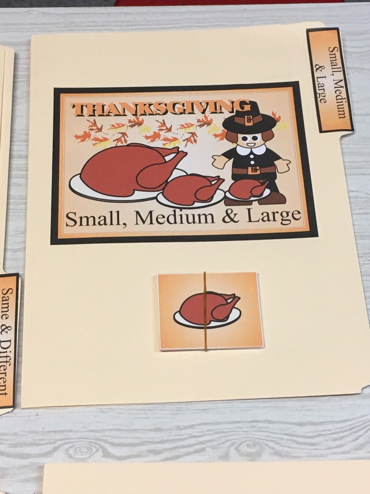 Thanksgiving - 10 File Folder Set - Activity Set - Teaching - DIY PRINTED