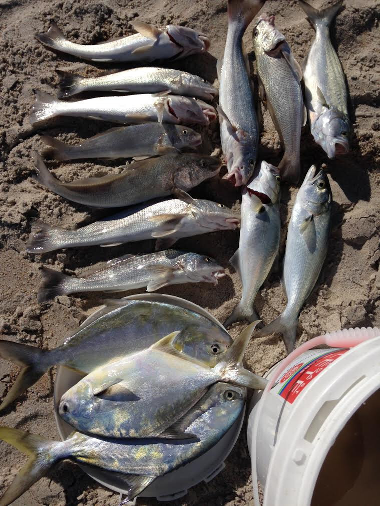 Surf Fishing Rigs, Hi-Low Rigs, The All Out - Catch All Package 17 Pompano Rigs