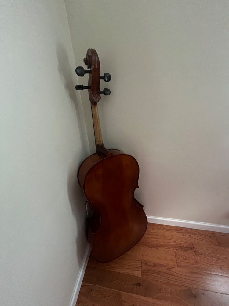 cello string instrument