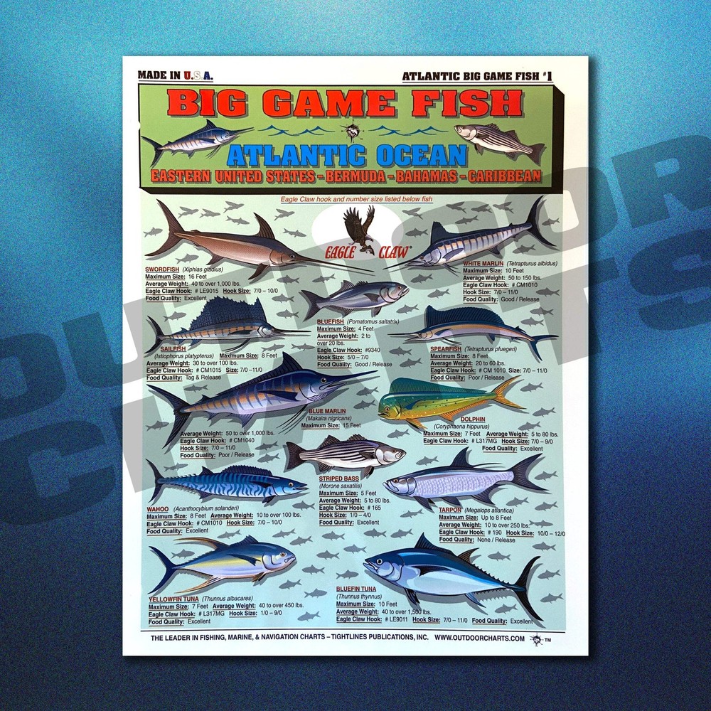 Atlantic Ocean Big Game Fish Identification #1 - Waterproof Quick Reference Guid
