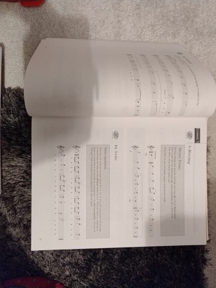 Play Flute. The Ultimate Self-Teaching Method