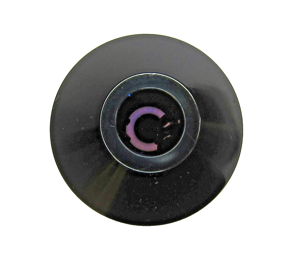Genuine Accu-Scope Plan 4x/0.10 infinity/- Microscope Objective