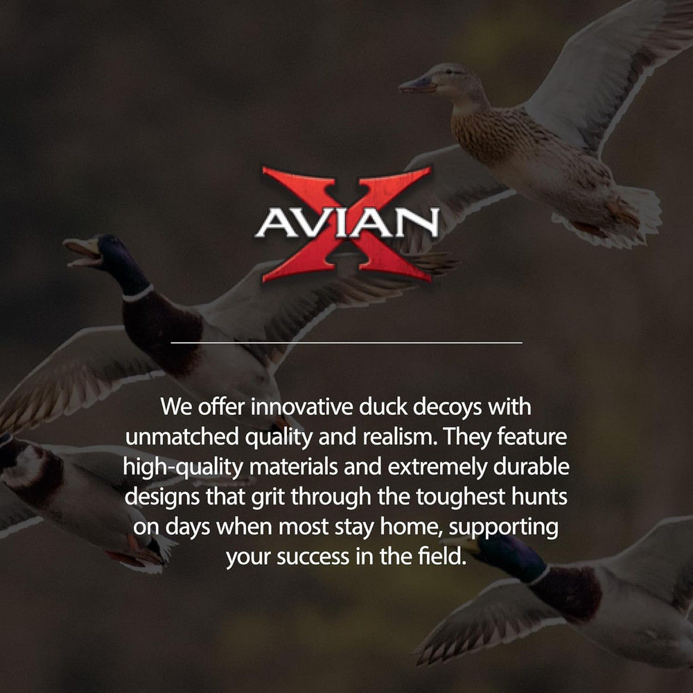 Avian X Power Shaker/Black Duck Surface Feeder