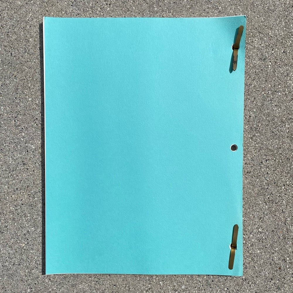 Roseanne Original 1992 Production Used Final Draft Script Secrets Barr Metcalf