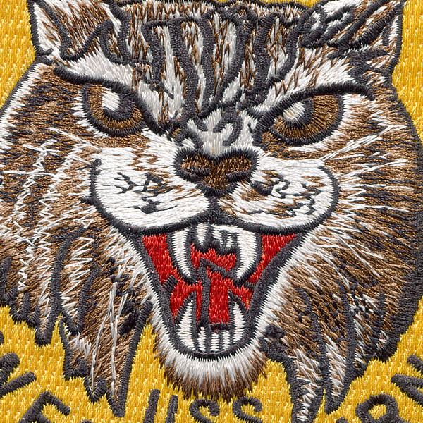 USS Wedderburn DD-684 Patch