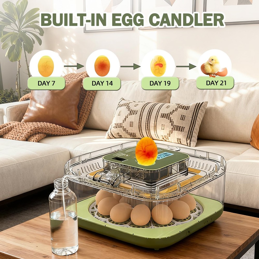 XOTTI Incubator for Hatching Egg, 12 Egg Incubators with Temperature 12 Eggs