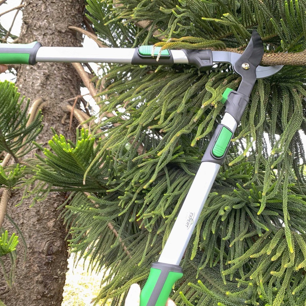 Extendable Tree Cutter 38 Inch Anvil Lopper Pruning Shears Trimmer Tool