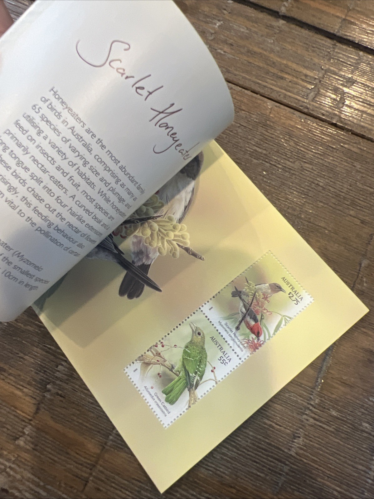 Lot Of 6: Australia Prestige: Dogs, Dangerous Aussies, Wallabies, Birds, Etc.