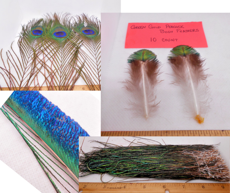 Assorted Peacock Feathers for Fly Tying - 6 Options Available