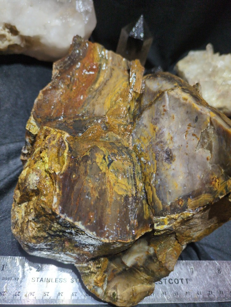 Biggs Jasper Specimen w/ Dendric Natural Form (7lbs 12oz)