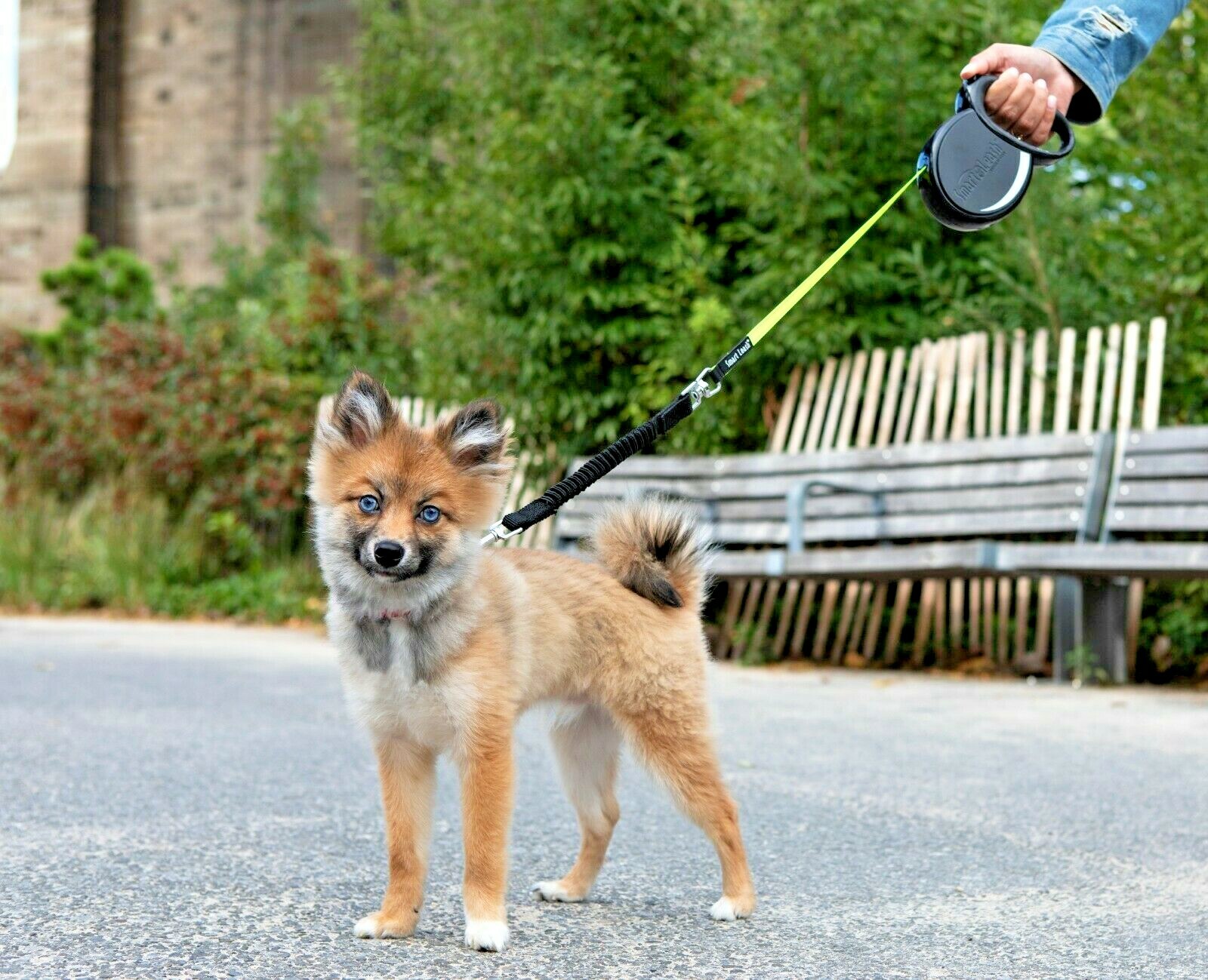 SmartLeash® -The Only Automatically Braking Retractable Leash- New-Free Shipping