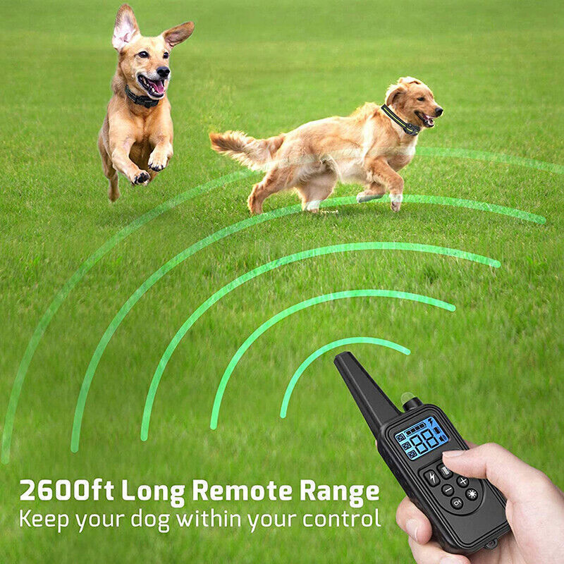 Universal Adjustable Dog Collar Strong Heavy Duty Hand Made For Training