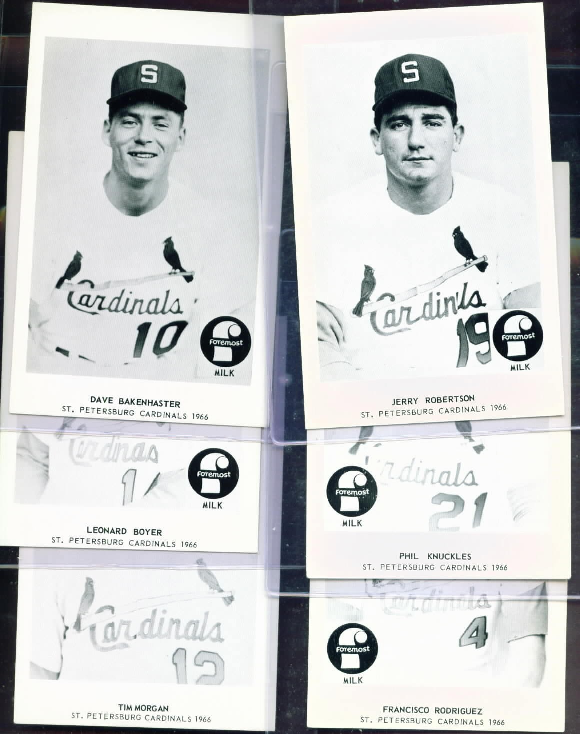 1966 Foremost Milk St. Petersburg Cardinals Set (20) w/ Program SPARKY ANDERSON