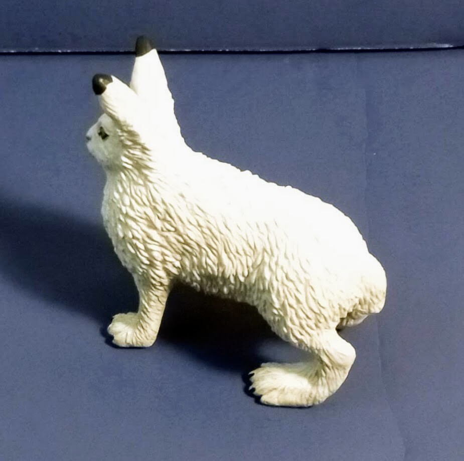 Safari arctic hare rabbit #182129