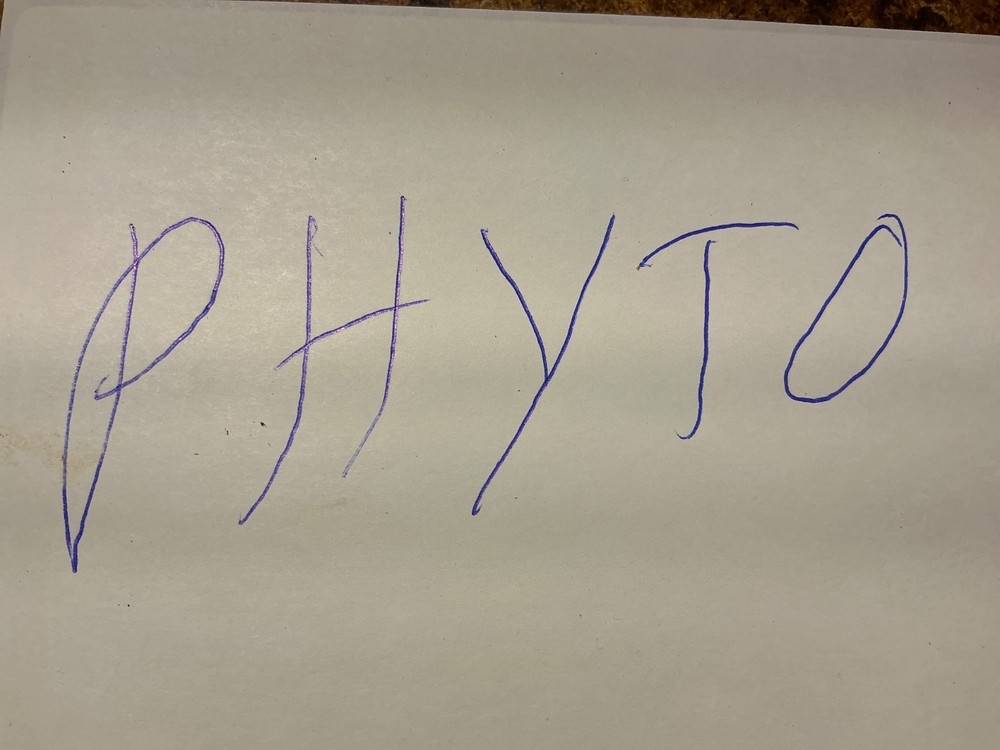 *PHYTO***